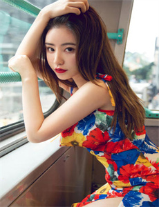 红旗漫卷西风