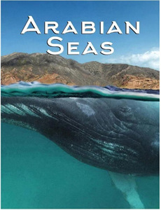 乱来的分享之家