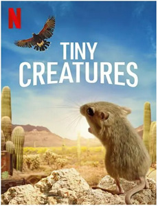 心之烙印 第二季