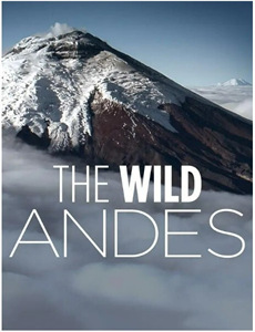 强奸终极篇最后羔羊