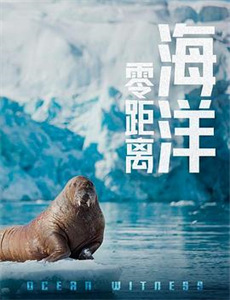 花花万物 第三季