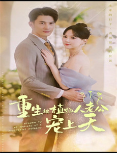 国土安全 第三季